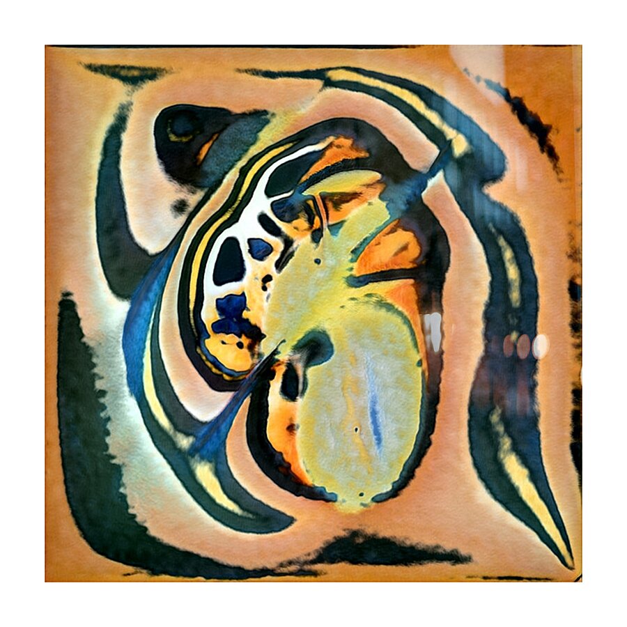 1603 8K Picture Frame print