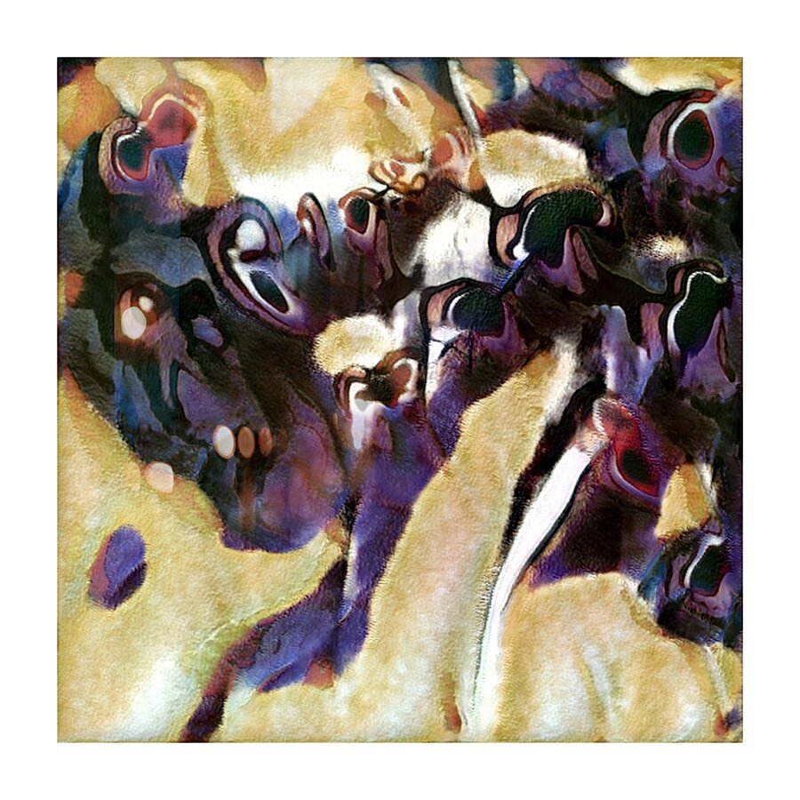 1621 8K Picture Frame print