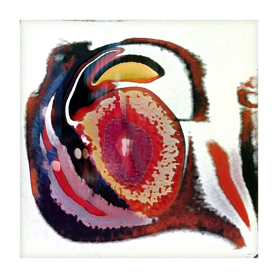 1647 8K Picture Frame print