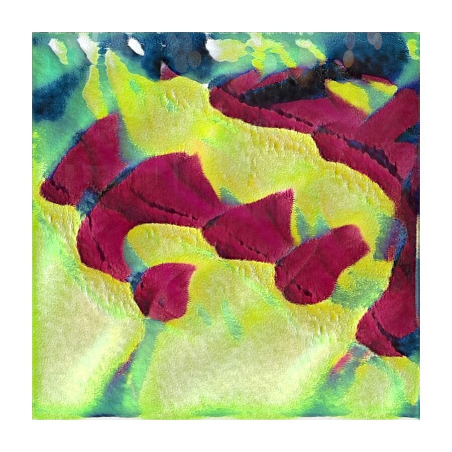 1664 8K Picture Frame print