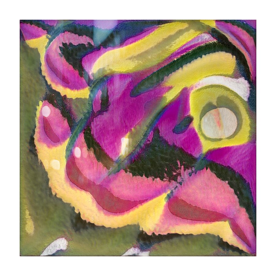 1644 8K Picture Frame print