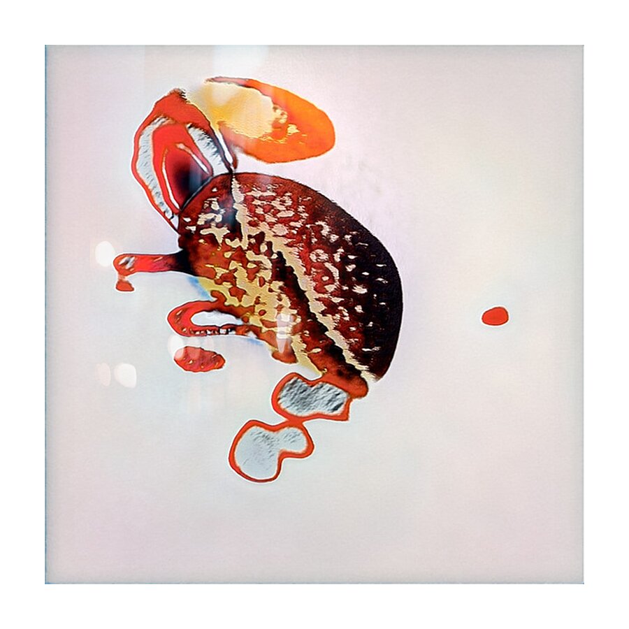 1658 8K Picture Frame print