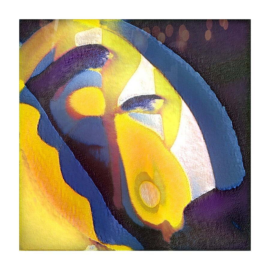 1698 8K Picture Frame print