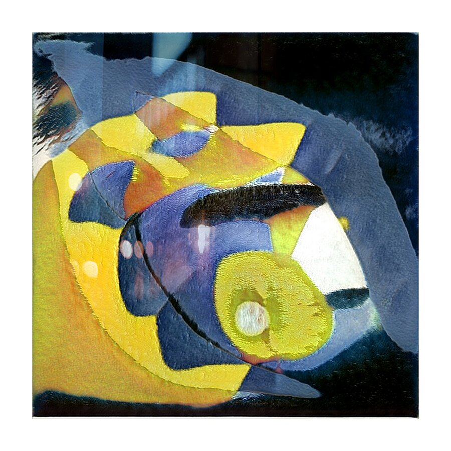 1710 8K Picture Frame print