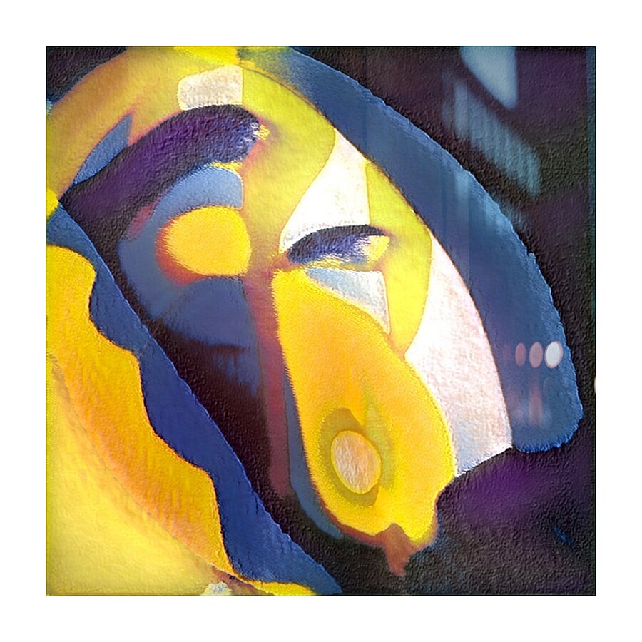 1698 8K Impression et Cadre photo