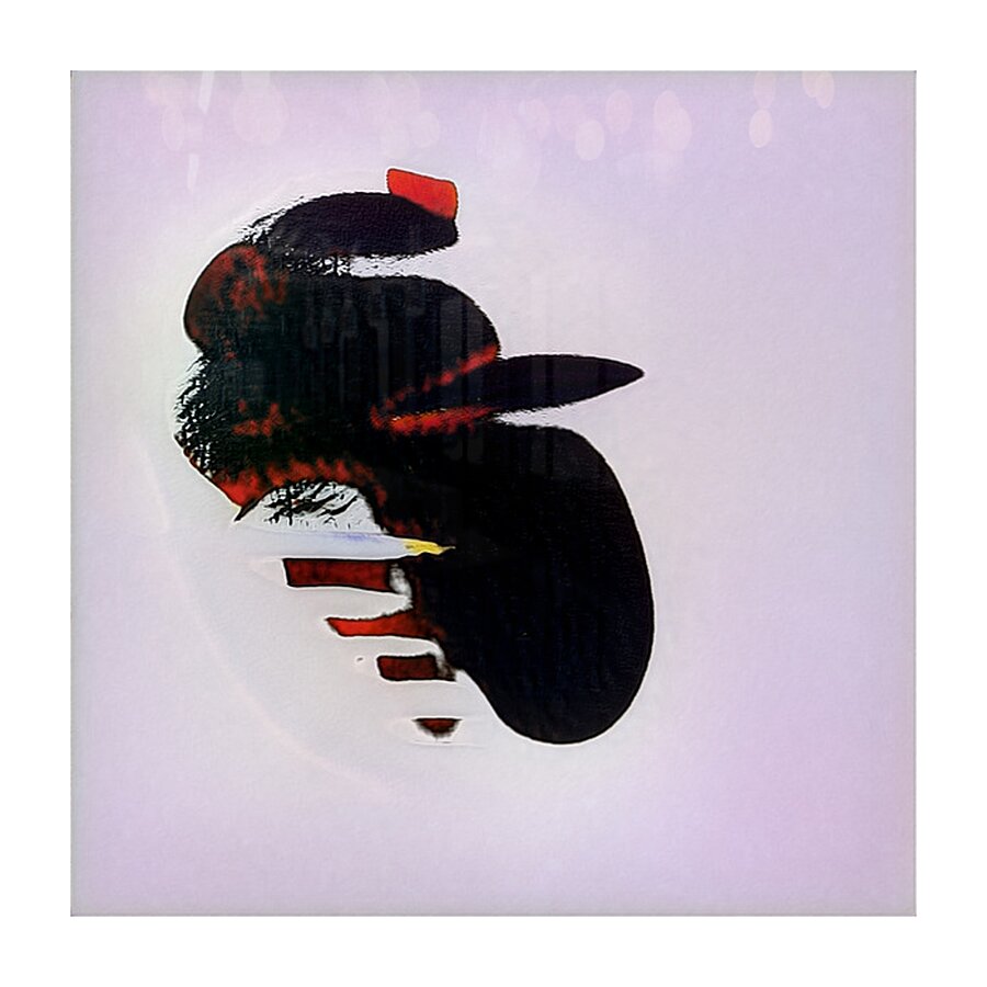 1709 8K Picture Frame print