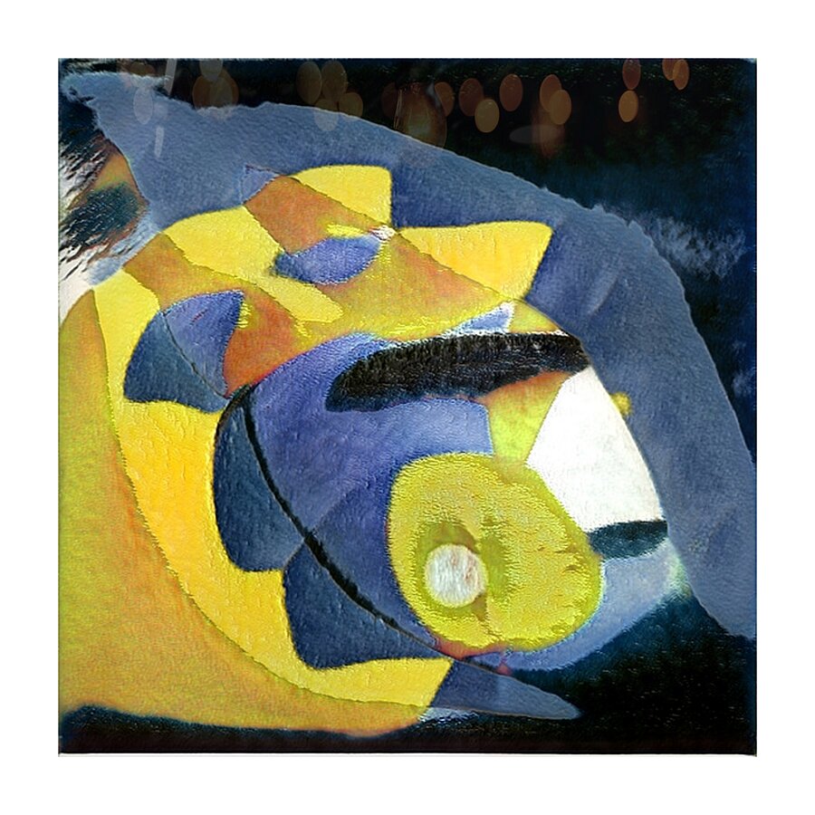 1710 8K Picture Frame print