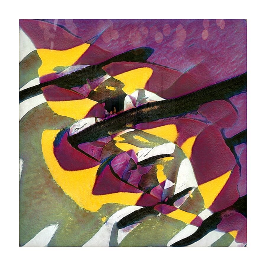 1674 8K Picture Frame print