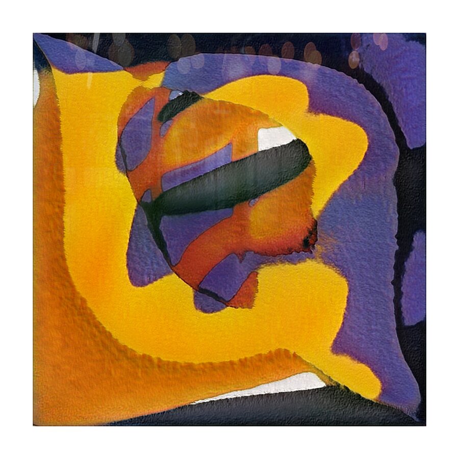 1681 8K Picture Frame print