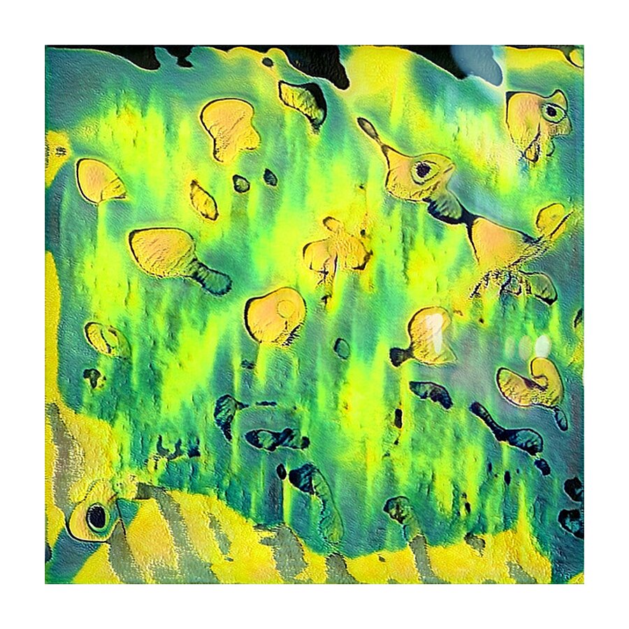 1741 8K Picture Frame print