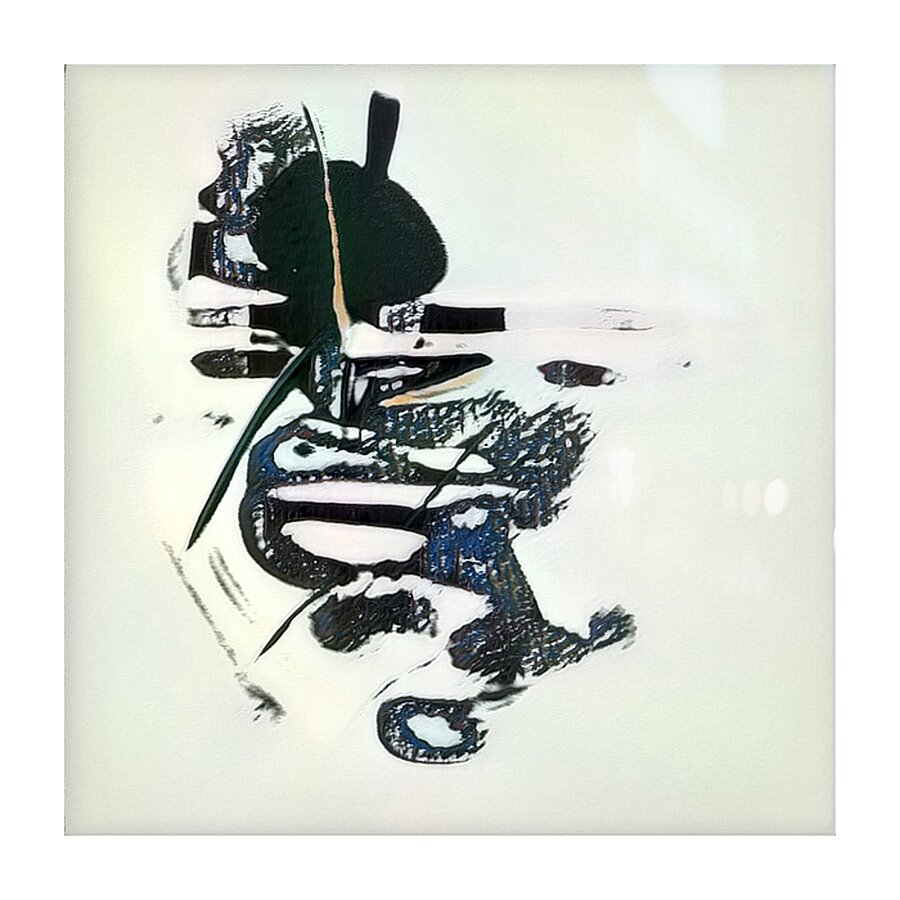 1746 8K Picture Frame print