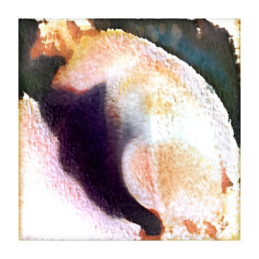 1719 8K Picture Frame print