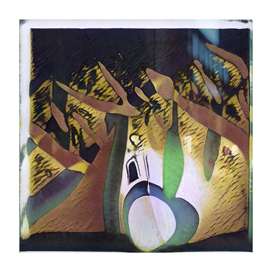 1783 8K Picture Frame print