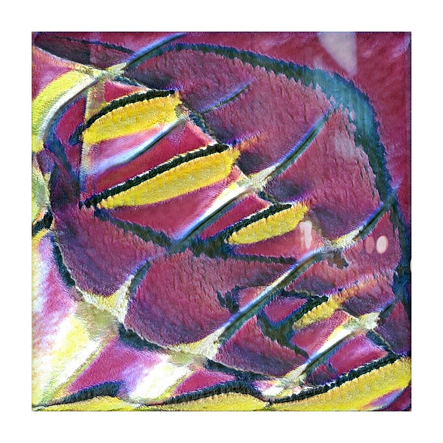 1757 8K Picture Frame print