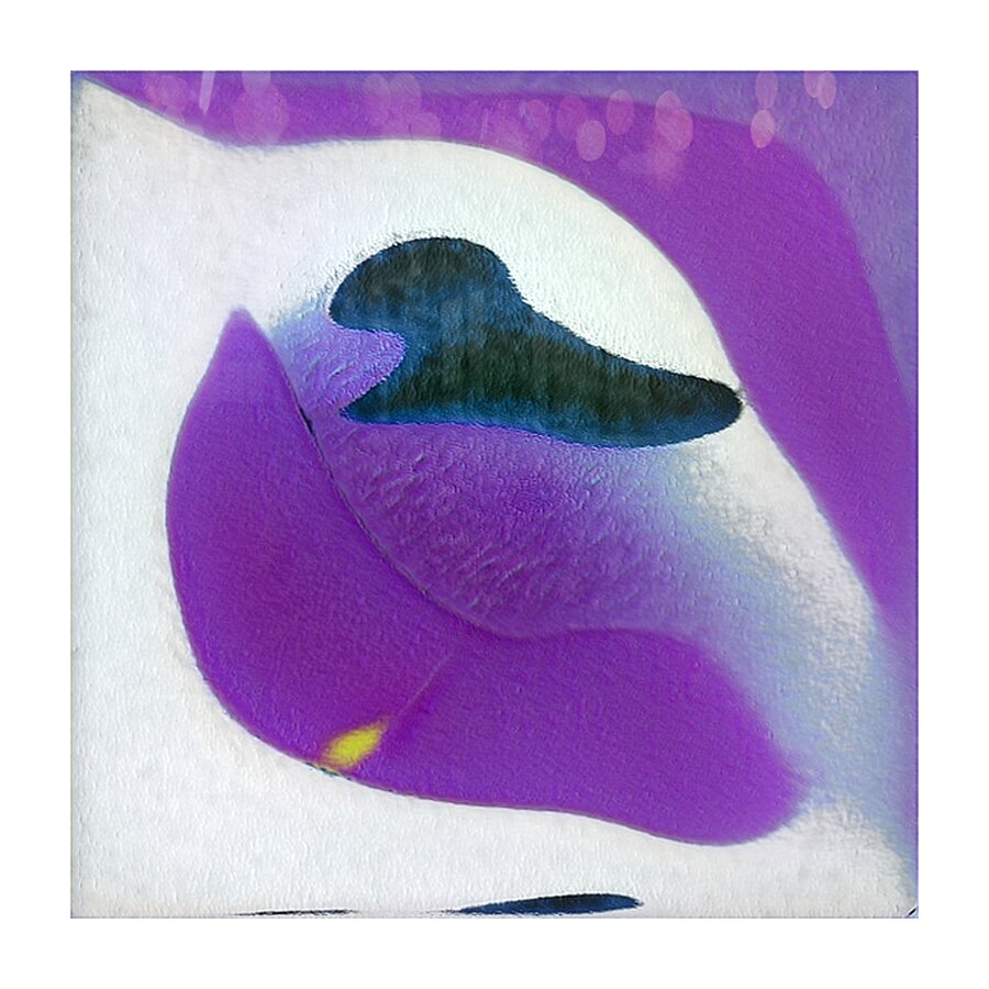 1877 8K Picture Frame print