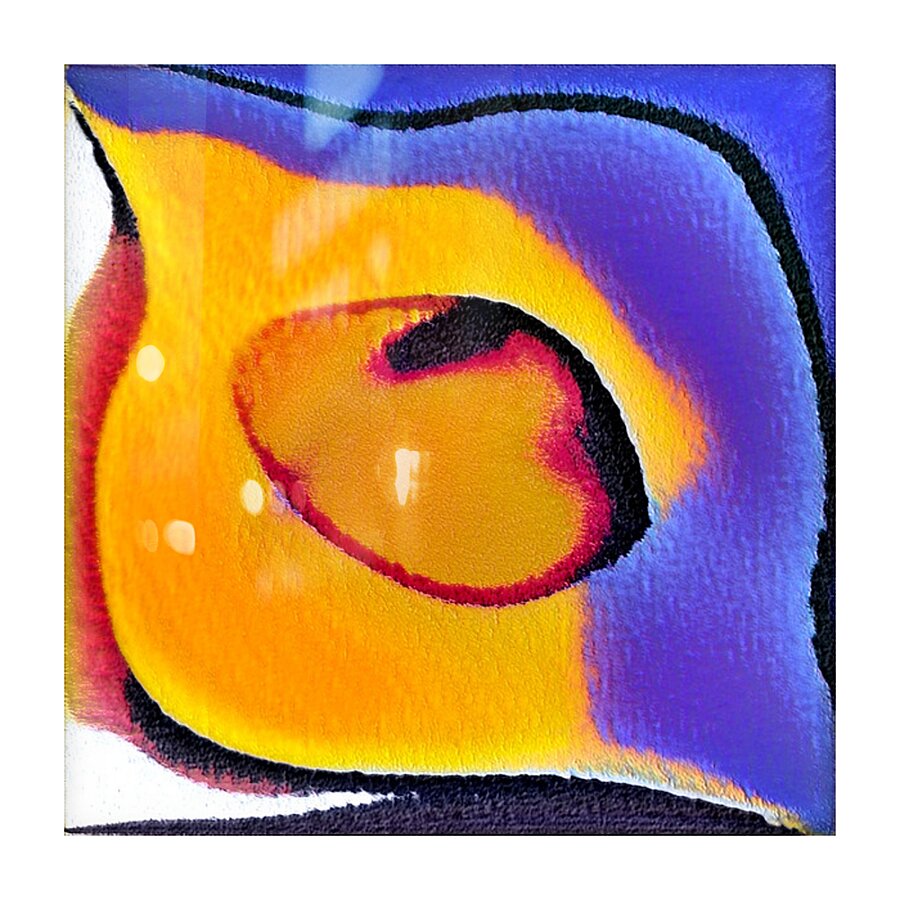 1914 8K Picture Frame print