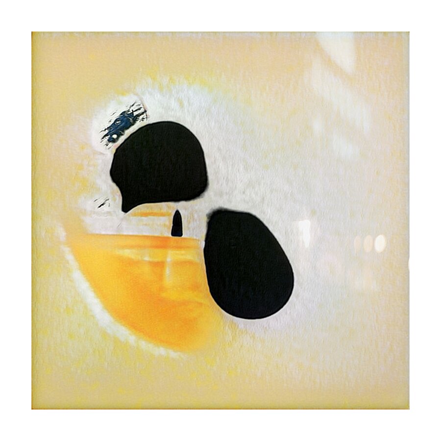 1993 8K Impression et Cadre photo