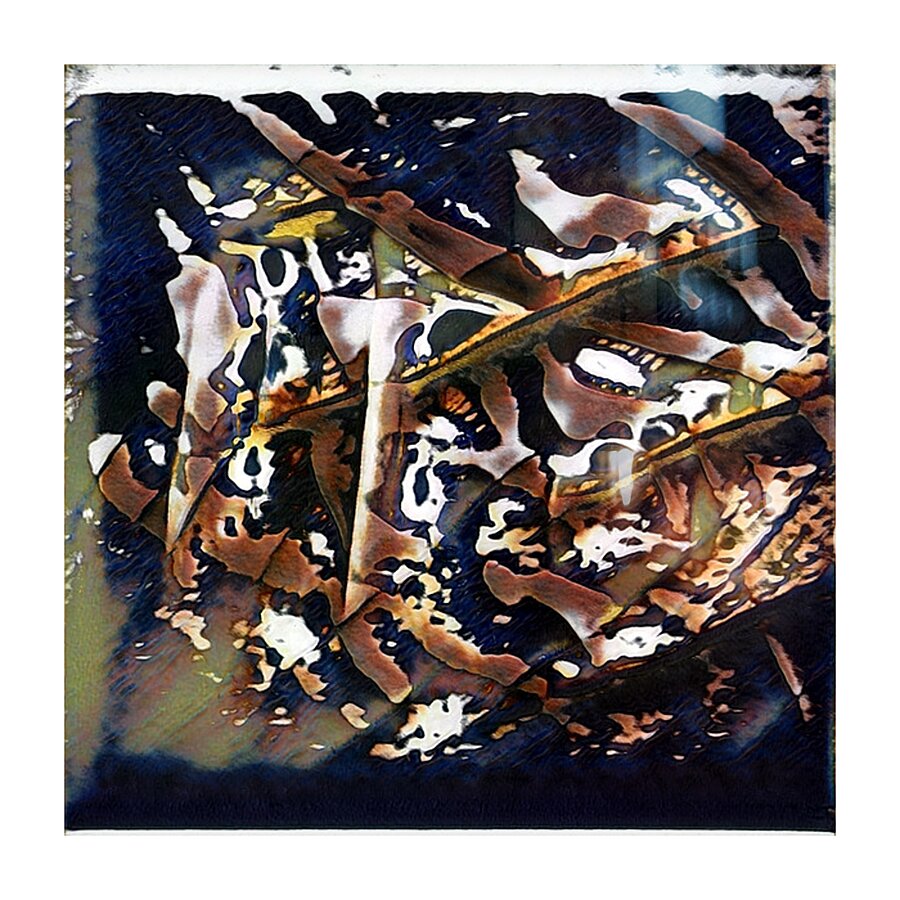 2008 8K Picture Frame print