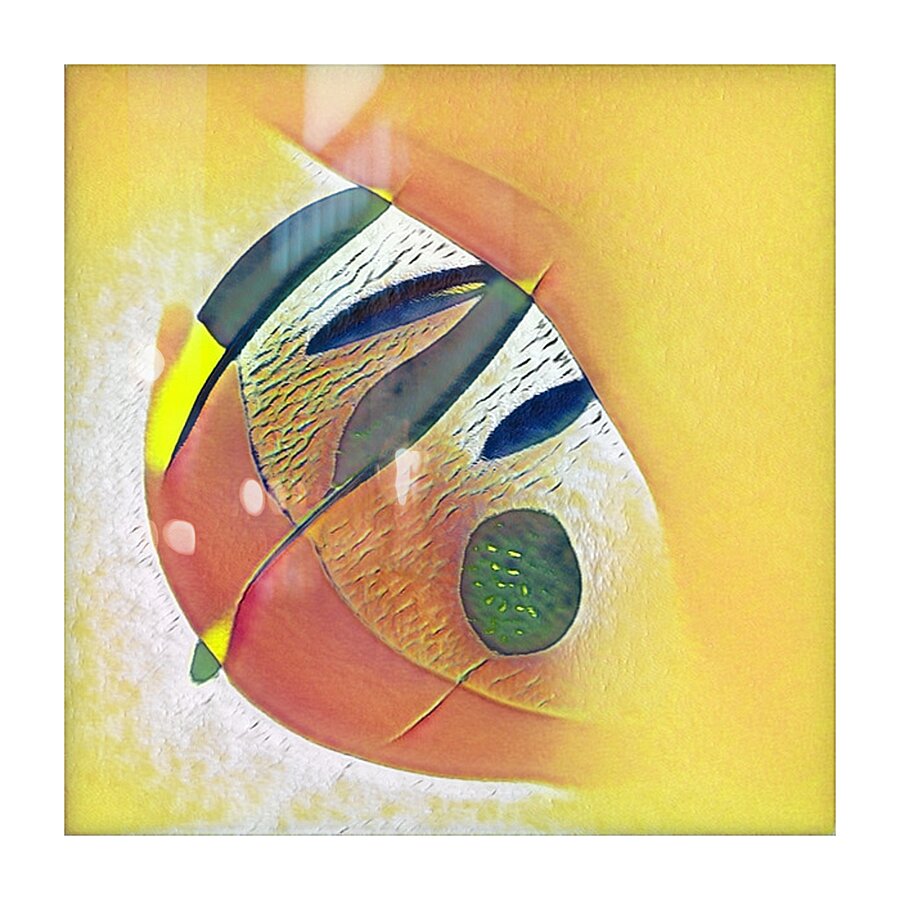 2015 8K Picture Frame print