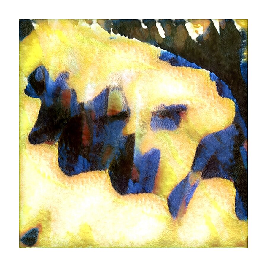 2106 8K Picture Frame print