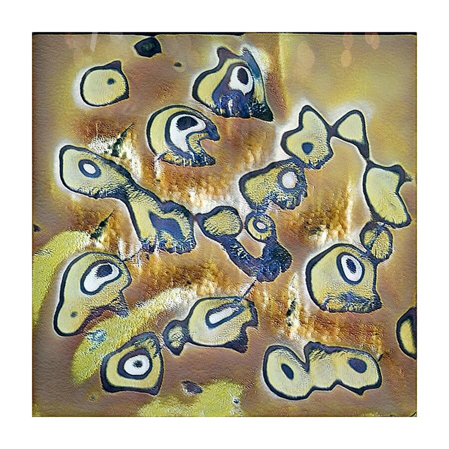 2136 8K Picture Frame print