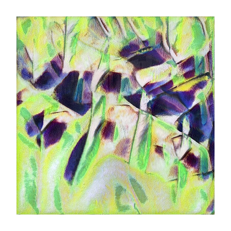 2165 8K Picture Frame print