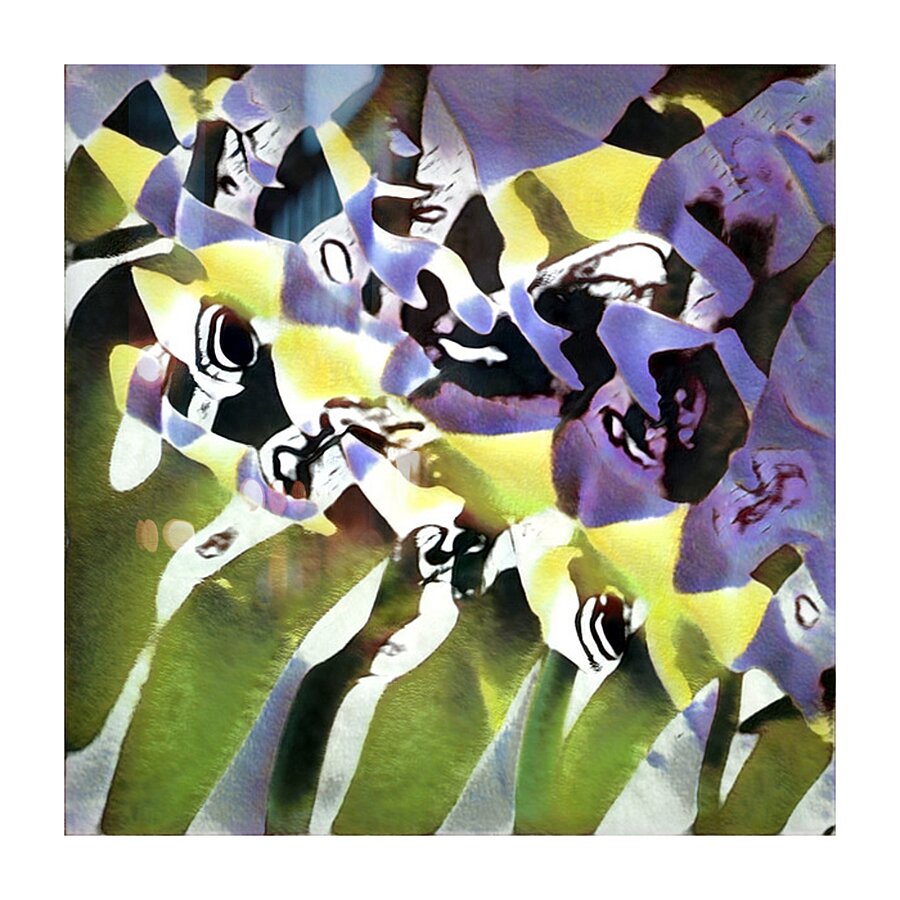 2156 8K Picture Frame print