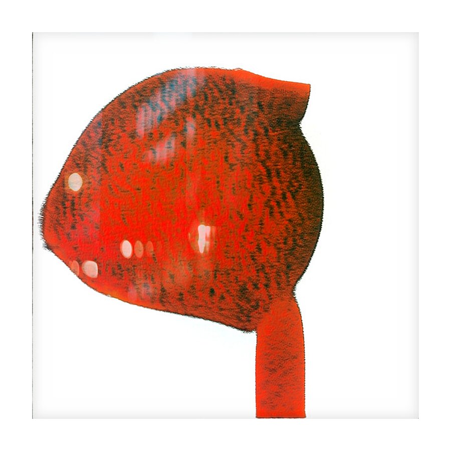 2215 8K Picture Frame print