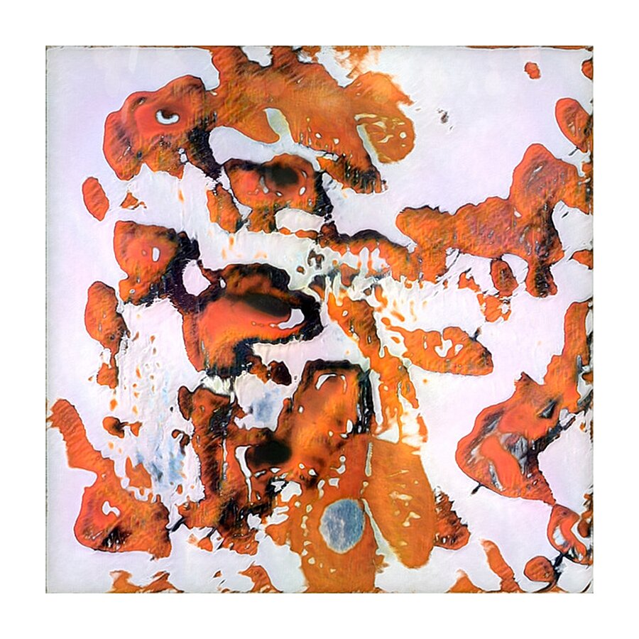 2201 8K Picture Frame print