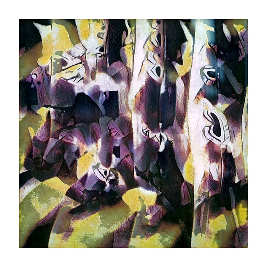 2224 8K Picture Frame print