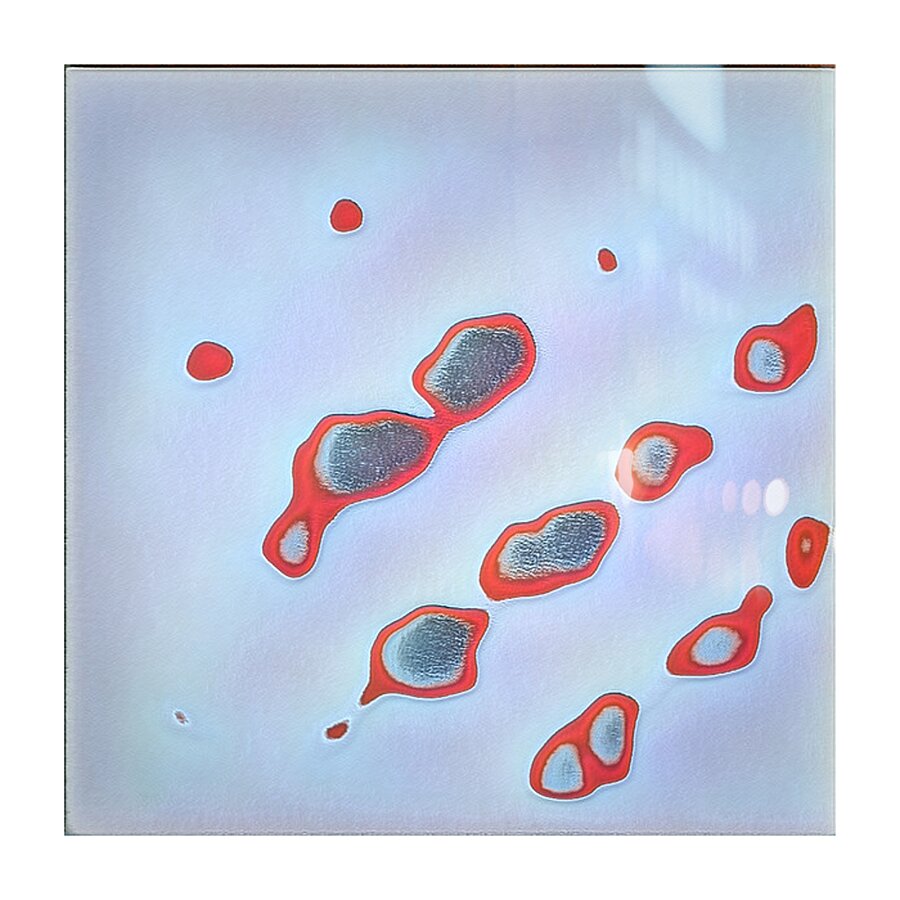 2204 8K Picture Frame print