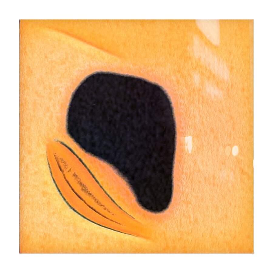 2260 8K Picture Frame print