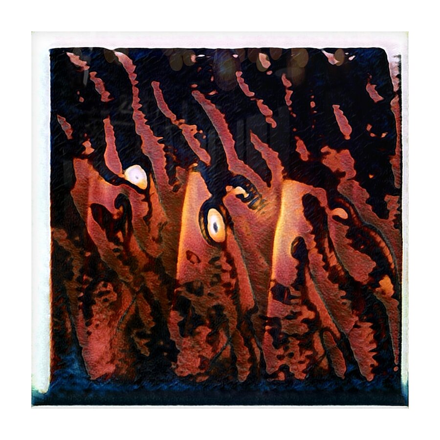 2263 8K Picture Frame print