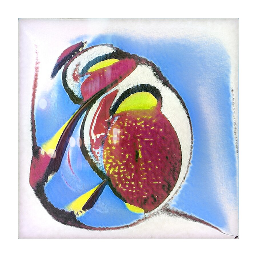 2286 8K Picture Frame print