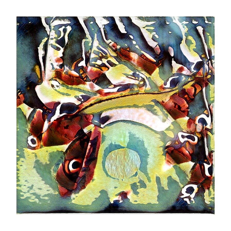 2294 8K Picture Frame print