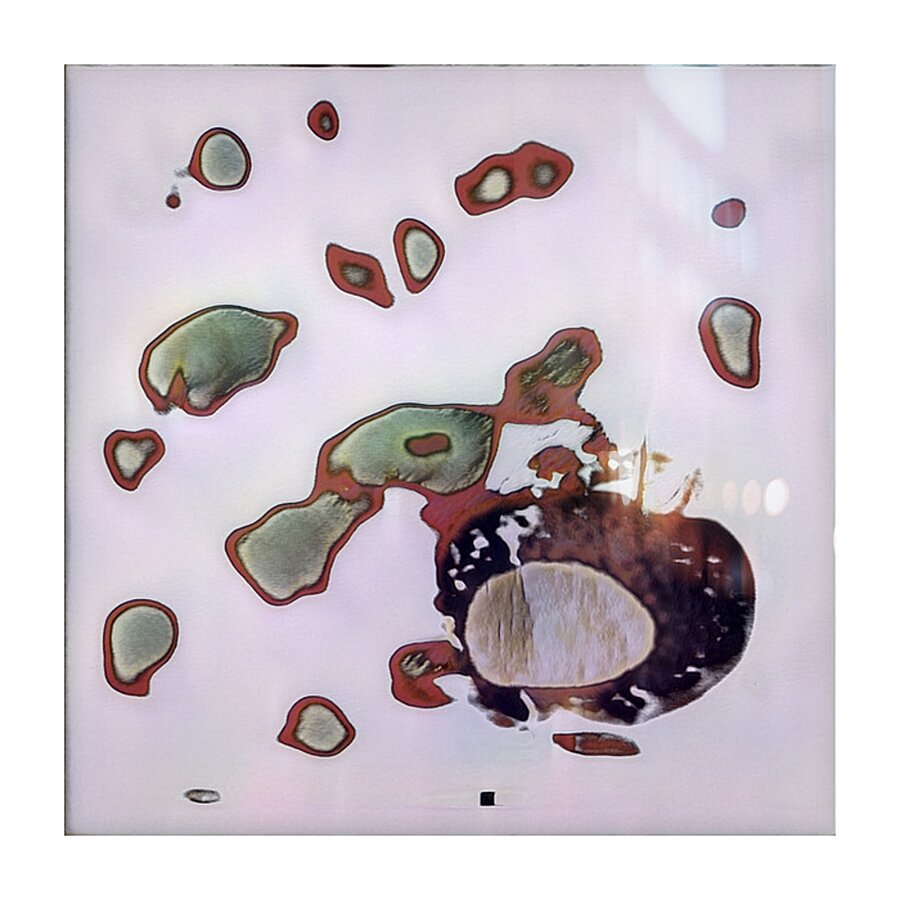 2279 8K Picture Frame print