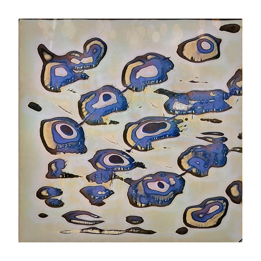 2319 8K Picture Frame print