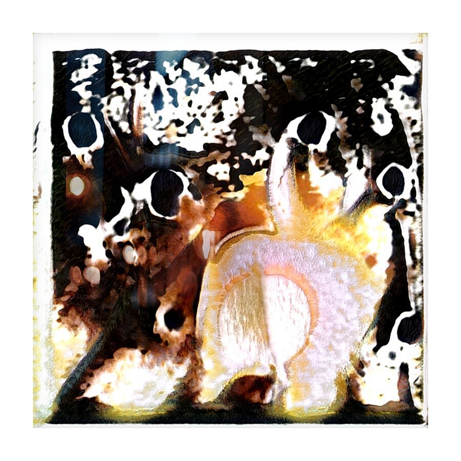 2317 8K Picture Frame print