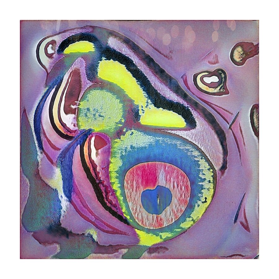 2349 8K Picture Frame print