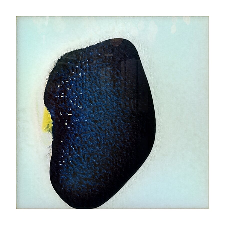 2369 8K Picture Frame print