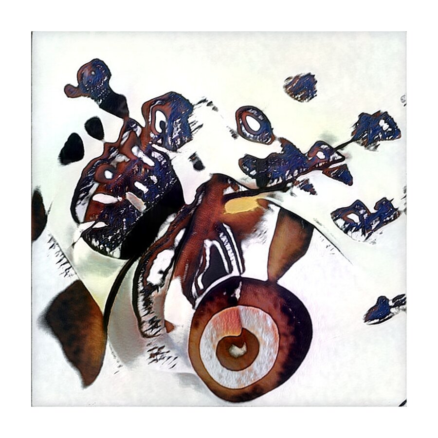 2389 8K Picture Frame print