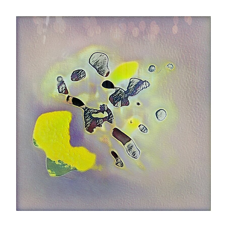 2368 8K Picture Frame print