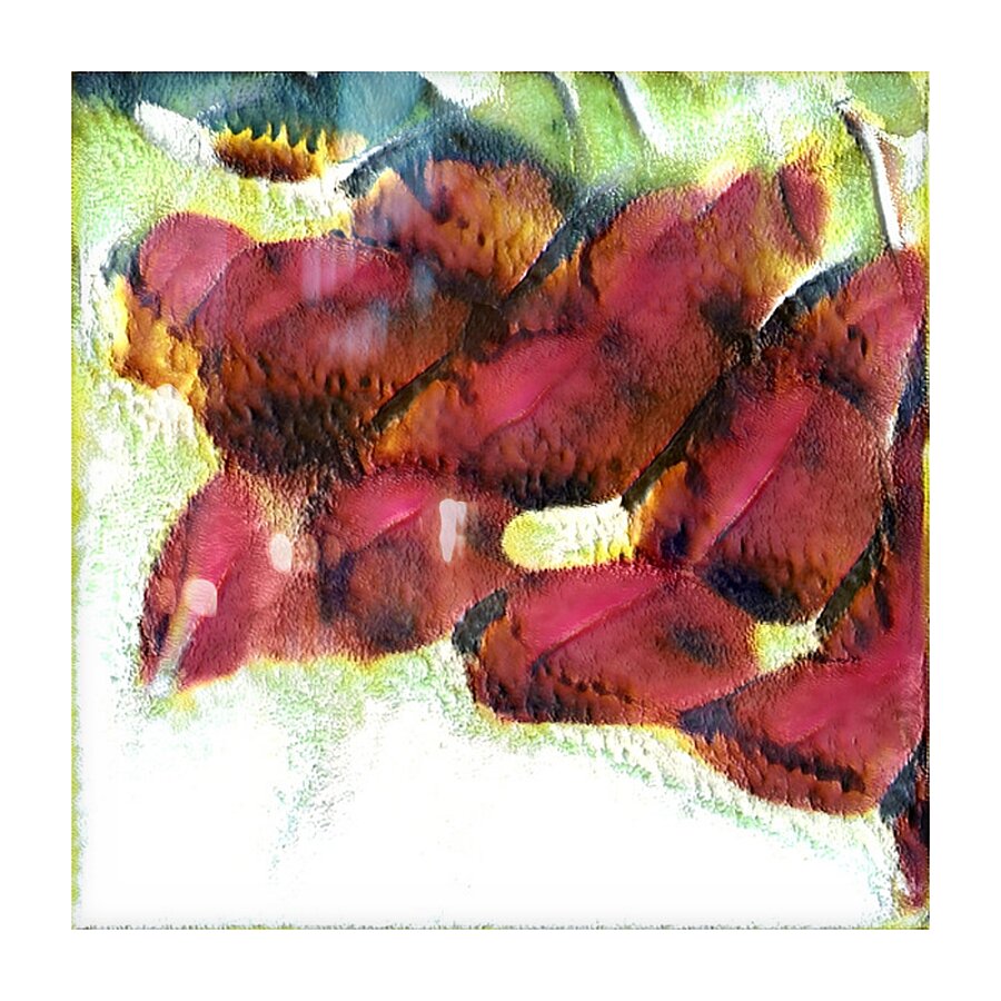 2415 8K Picture Frame print