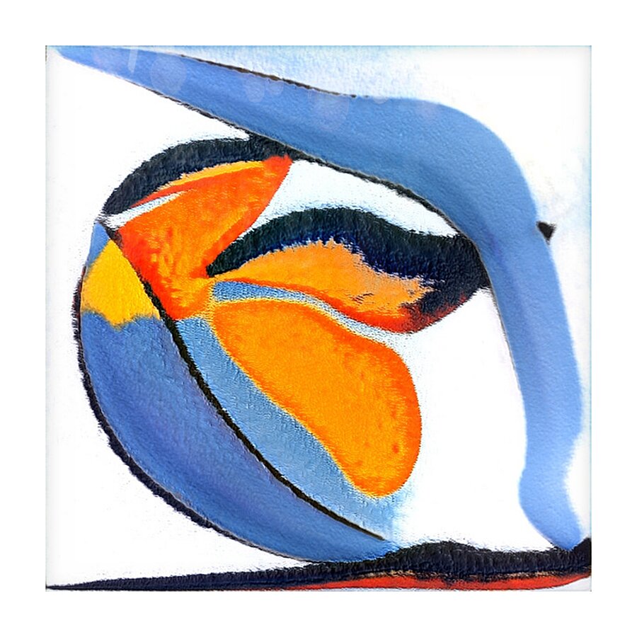 2397 8K Picture Frame print