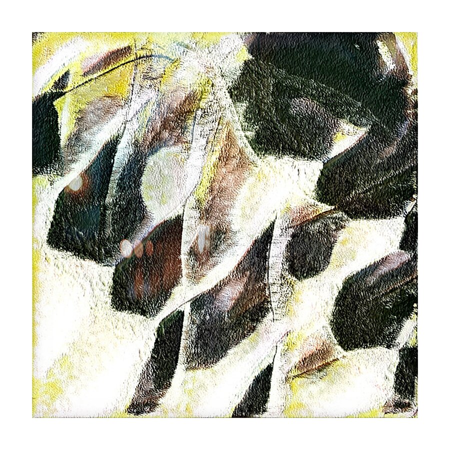 2403 8K Picture Frame print