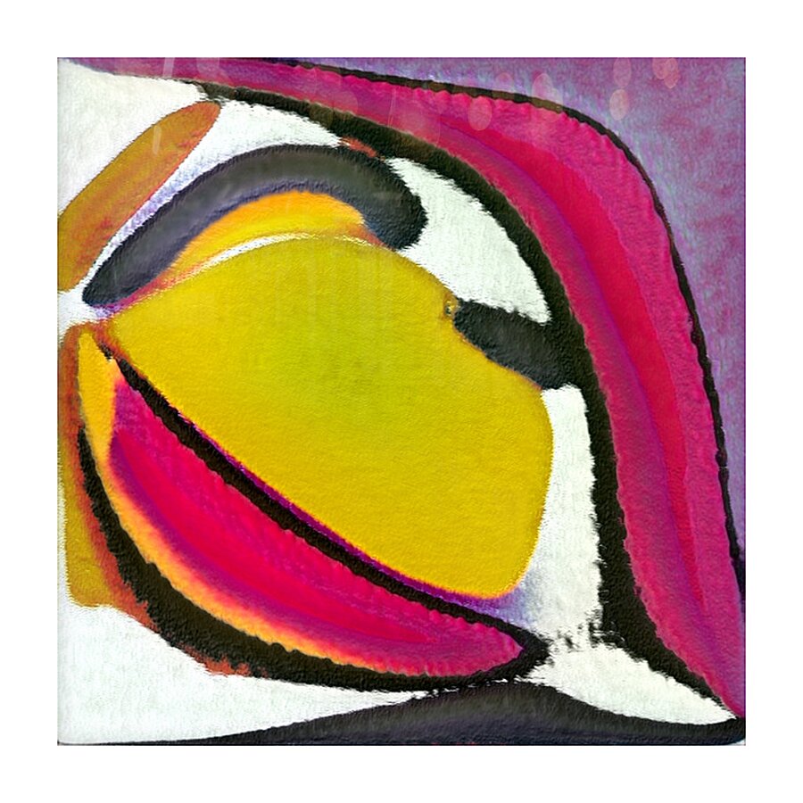 2437 8K Picture Frame print