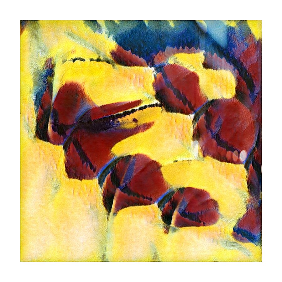 2409 8K Picture Frame print