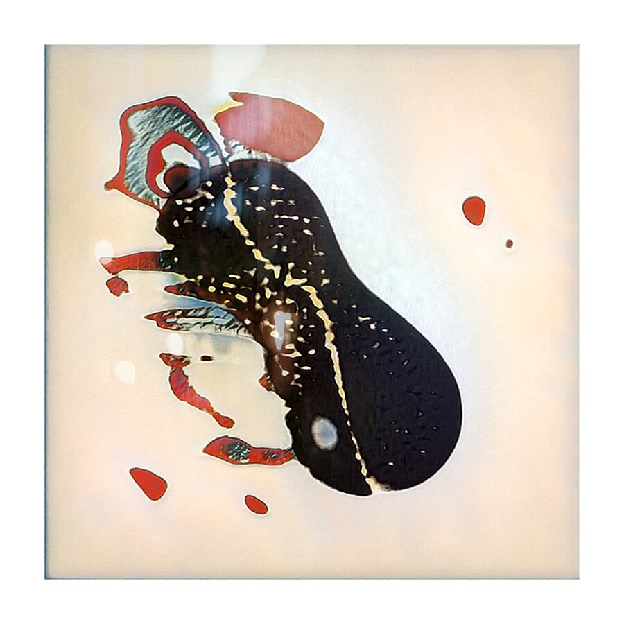 2431 8K Picture Frame print