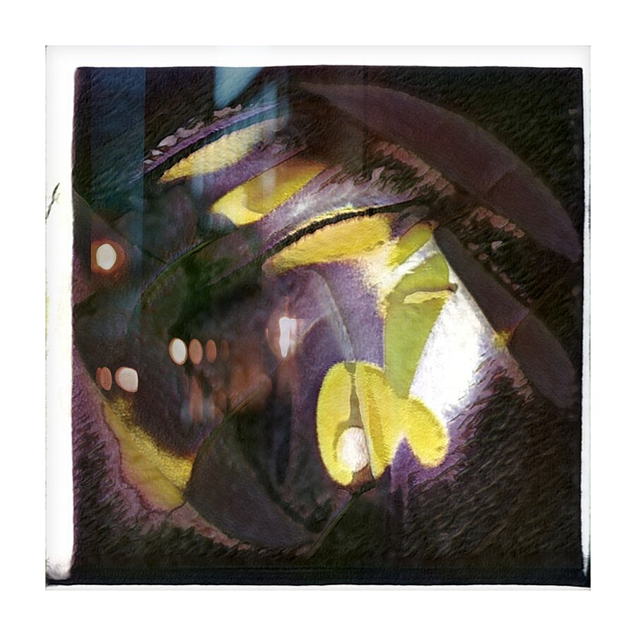 2469 8K Picture Frame print