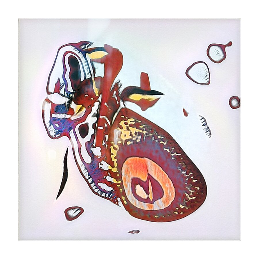 2483 8K Picture Frame print